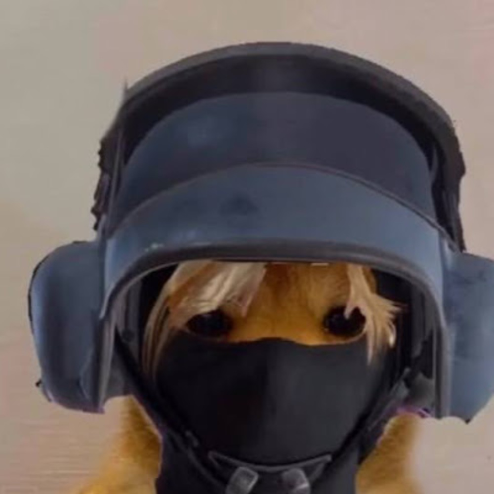 Meet your Posher, Yt